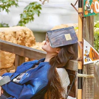 洛克人 向星星许愿
